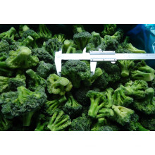 Neuer Ernte-IQF gefrorener Brokkoli